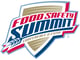 Food Safety Summit Logo 500x375